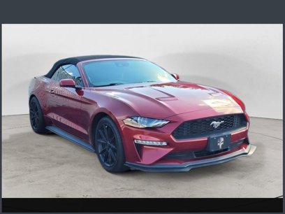 Used 2019 Ford Mustang Premium w/ Equipment Group 201A