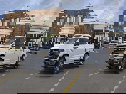New 2024 Ford F150 XLT w/ Equipment Group 303A High