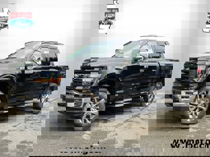 New 2025 Ford F150 XLT