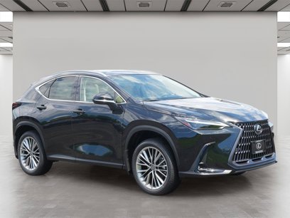 New 2025 Lexus NX 300h AWD w/ Luxury Package