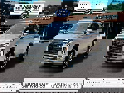 New 2025 Hyundai Palisade SEL