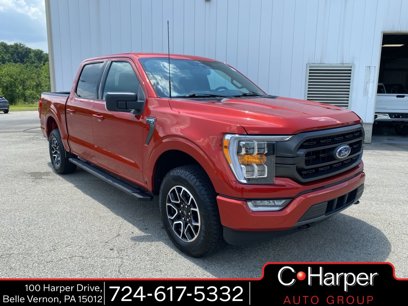 Certified 2023 Ford F150 XLT w/ Equipment Group 302A High