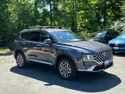 New 2023 Hyundai Santa Fe SEL Convenience