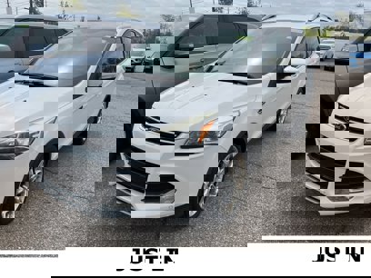 Used 2014 Ford Escape Titanium w/ Equipment Group 401A