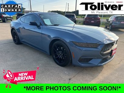 Used 2024 Ford Mustang Premium w/ Mustang Nite Pony Package