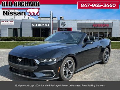 Used 2024 Ford Mustang Premium