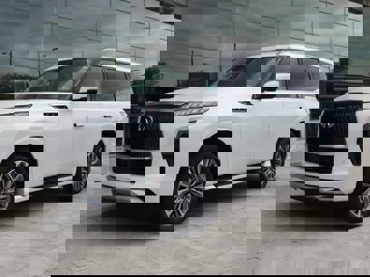 New 2025 INFINITI QX80 Luxe