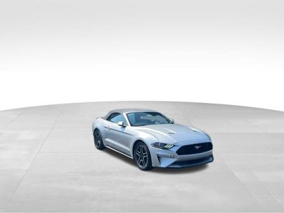 Used 2019 Ford Mustang Premium