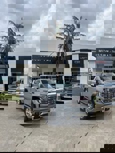 New 2025 GMC Sierra 1500 Denali
