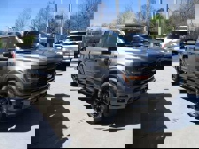 New 2025 Ford F150 STX w/ STX Black Appearance Package