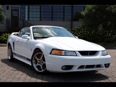 Used 1999 Ford Mustang Cobra