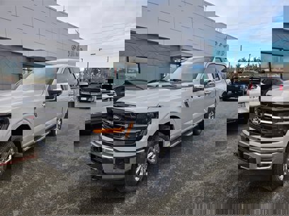 New 2024 Ford F150 XLT w/ Equipment Group 302A MID