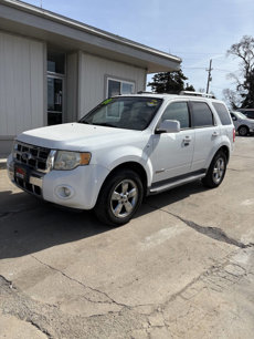 Used 2008 Ford Escape Limited