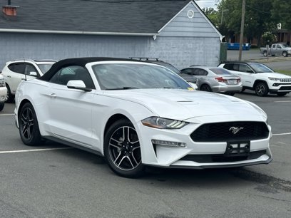 Used 2019 Ford Mustang Premium