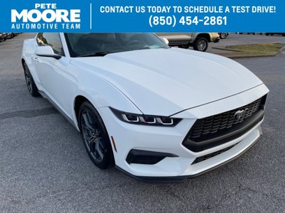 Used 2024 Ford Mustang Premium w/ 2.3L High Performance Package