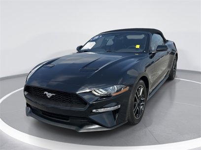 Used 2019 Ford Mustang Premium