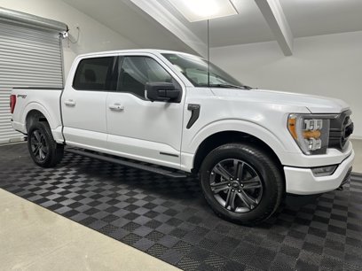 New 2023 Ford F150 XLT w/ Equipment Group 302A High