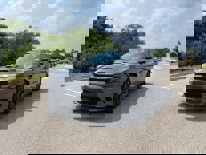 Used 2019 Dodge Charger SXT