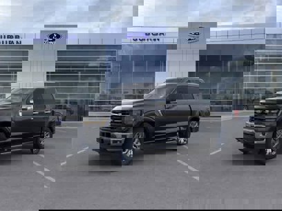 New 2024 Ford F150 XLT w/ Equipment Group 302A MID