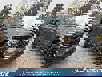 New 2024 Ford F150 STX w/ STX Black Appearance Package