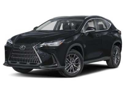New 2025 Lexus NX 250 AWD w/ Premium Package