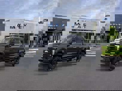 New 2025 Ford F350 Platinum w/ FX4 Off-Road Package