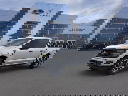 New 2024 Ford F150 STX