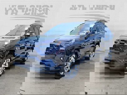 New 2025 Toyota RAV4 XLE Premium