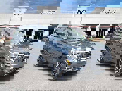 New 2025 Kia Seltos S