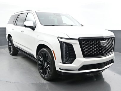 Used 2025 Cadillac Escalade Sport Platinum w/ LPO, ONYX Package
