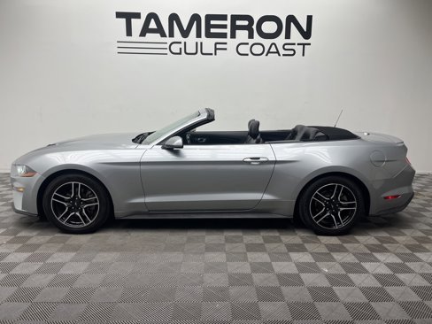 Used 2022 Ford Mustang Premium image 4