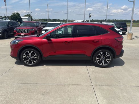 Used 2022 Ford Escape SE w/ SE Sport Appearance Package image 6