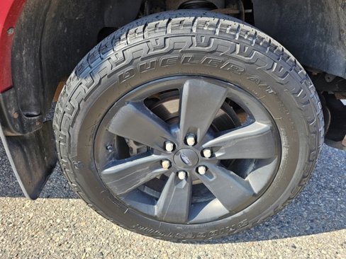 Used 2012 Ford F150 FX4 w/ FX Luxury Pkg image 5