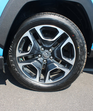 Used 2019 Toyota RAV4 Adventure image 48