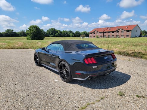 Used 2017 Ford Mustang Premium image 8