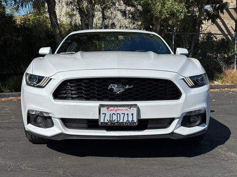 Used 2015 Ford Mustang Coupe w/ Equipment Group 051A image 5