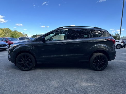 Used 2019 Ford Escape SE image 7