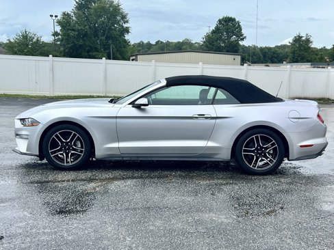 Used 2019 Ford Mustang Premium image 10