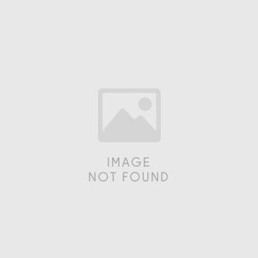 New 2026 GMC Terrain Elevation image 19