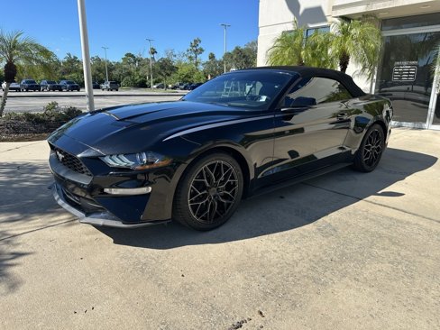 Used 2019 Ford Mustang Premium w/ Equipment Group 201A image 9