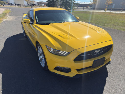 Used 2015 Ford Mustang GT Premium w/ 50 Years Appearance Package image 4