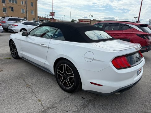 Used 2018 Ford Mustang Premium image 16