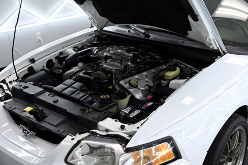 Used 1999 Ford Mustang Cobra image 21