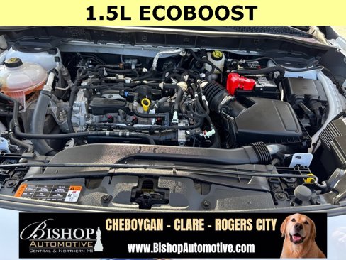Used 2022 Ford Escape SE w/ Cold Weather Package image 6