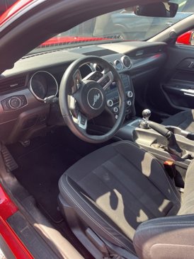 Used 2021 Ford Mustang Coupe w/ 2.3L High Performance Package image 11