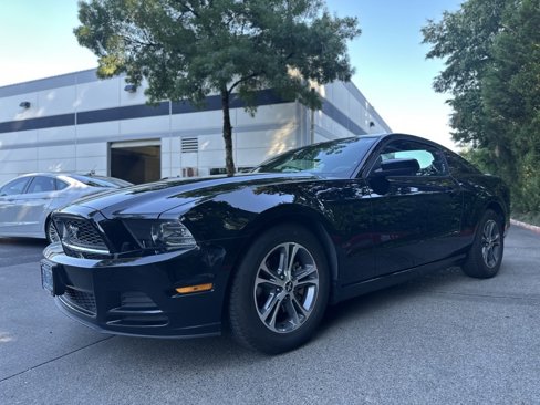 Used 2014 Ford Mustang Premium image 7
