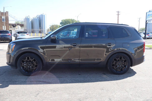 Used 2021 Kia Telluride SX w/ SX Prestige Package image 8