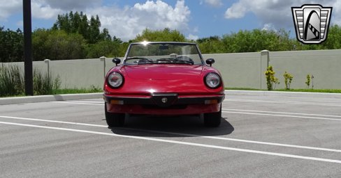Used 1986 Alfa Romeo Spider Graduate image 22