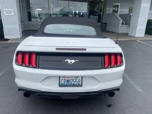 Used 2019 Ford Mustang Premium image 7