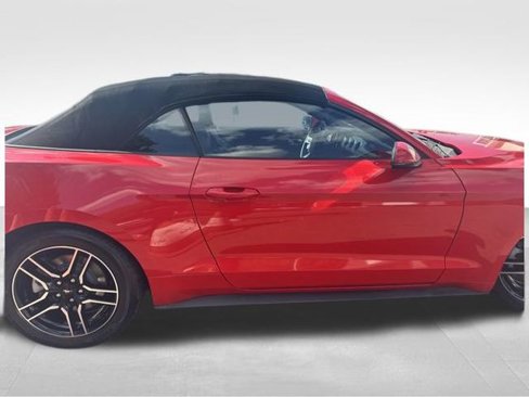 Used 2019 Ford Mustang Premium image 6